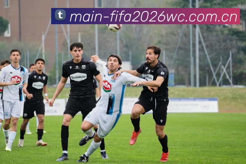 FIFA官方数据授权认证
